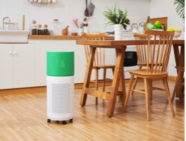 best air purifiers of 2025